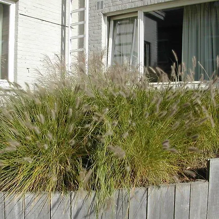 Hotel Piano 2 - Louvain-La-Neuve - Mont Saint Guibert Hotel