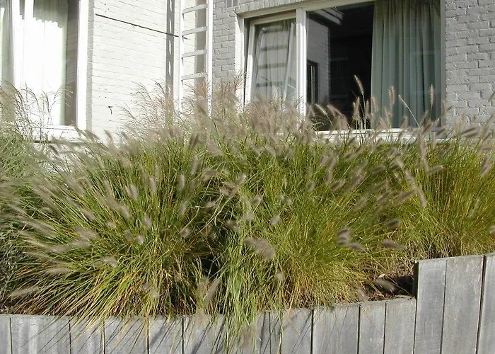 Piano 2 - Louvain-la-neuve - Mont Saint Guibert 酒店